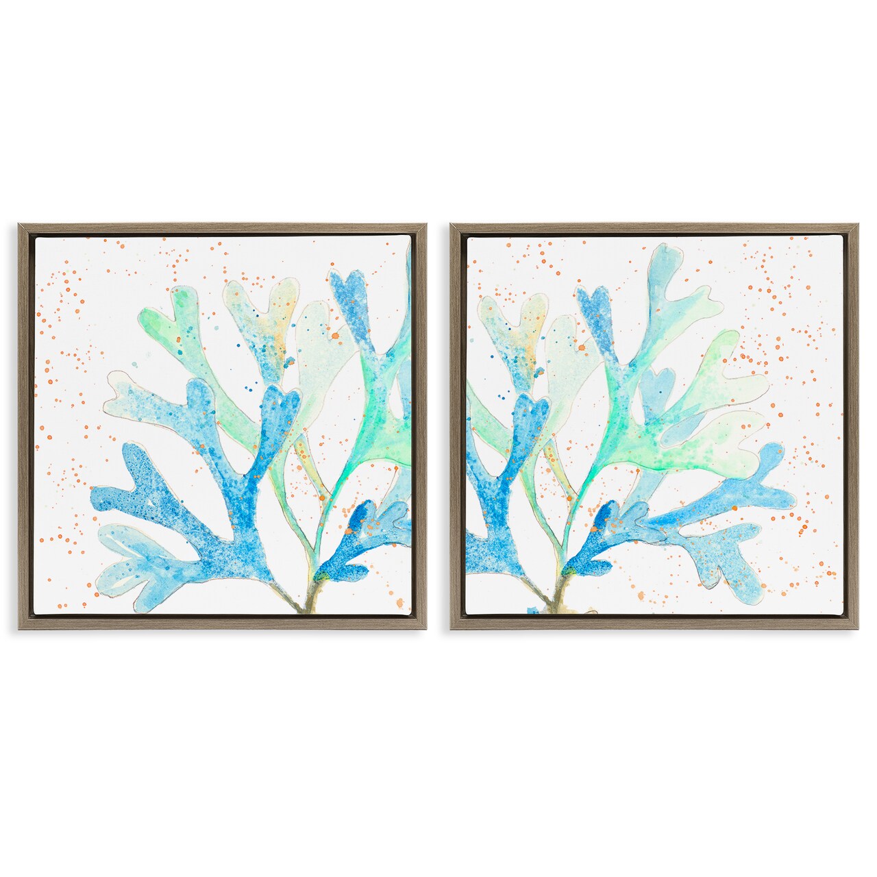 Stupell Industries Speckled Blue Green Coral 2 pc Framed Floater Canvas Wall Art Set Design by Patricia Pinto